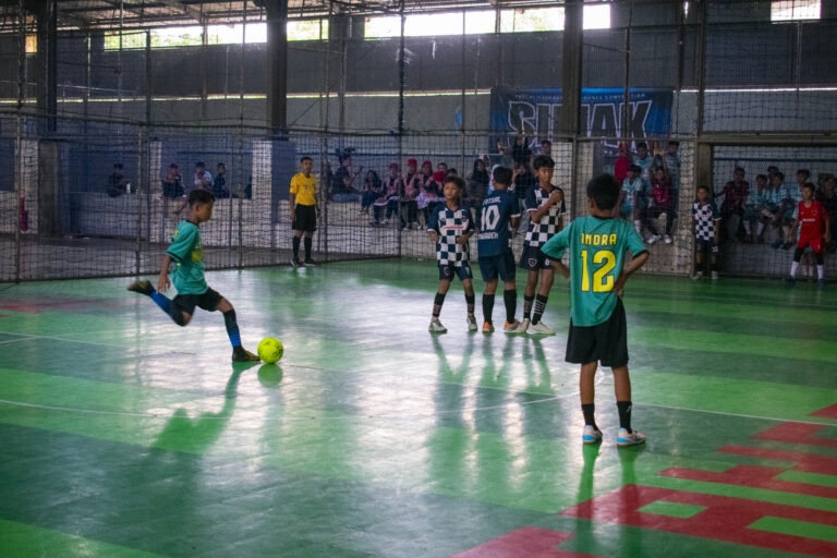 simak 25 (47)
